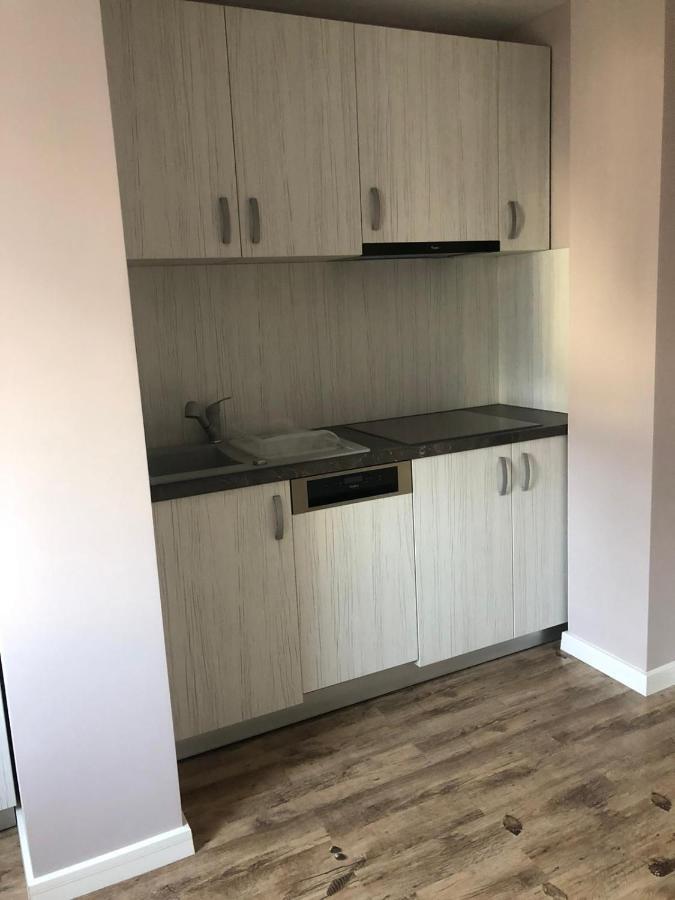 Sighisoara Apartment Экстерьер фото